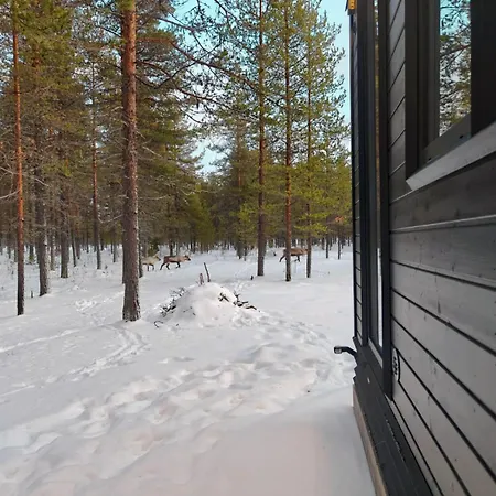 Fell Village 6 With A Mountain View, Fireplace, Sauna, Kitchen 別荘 ルオスト